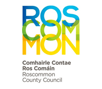 Emergency Lighting Testing Ireland - Roscomon County Council